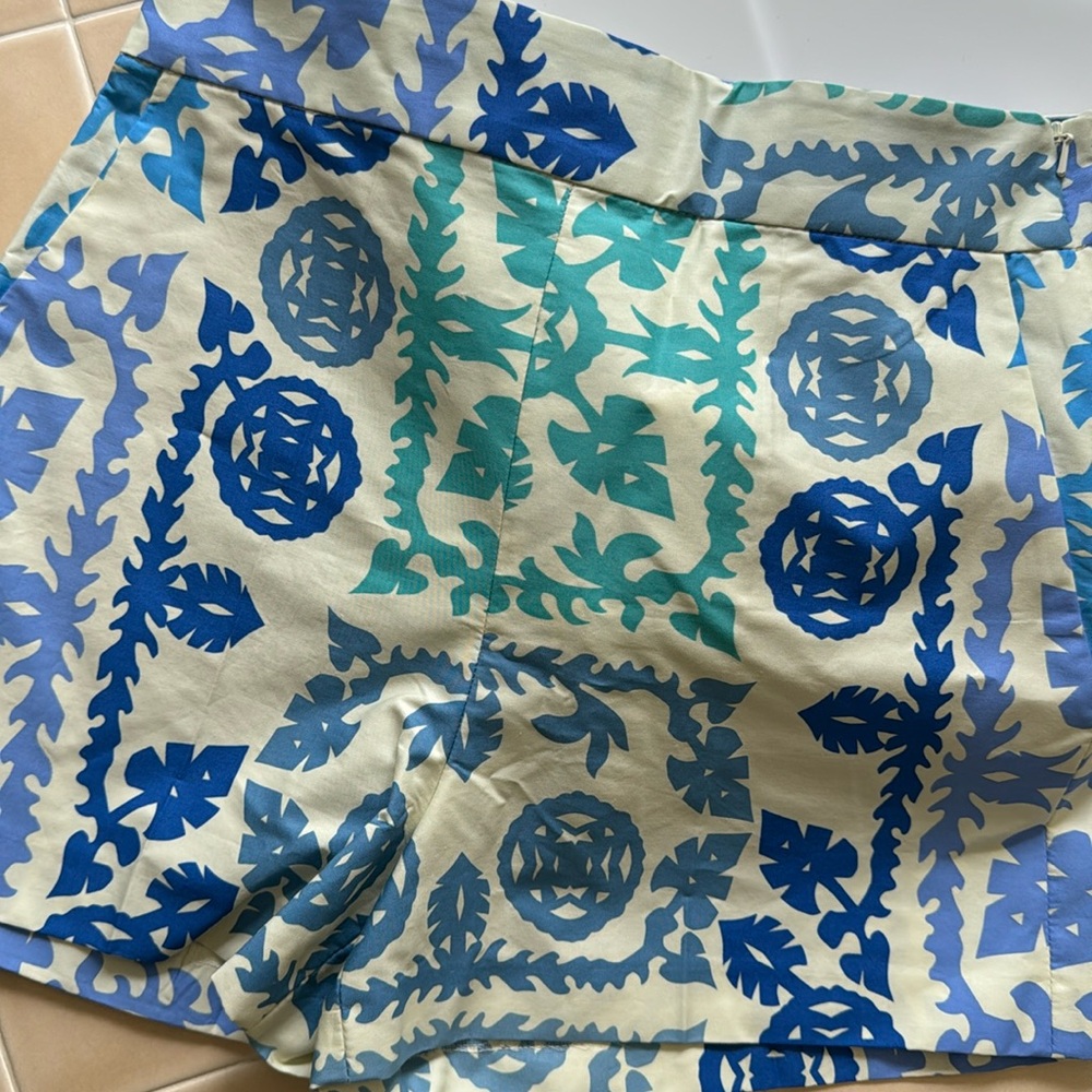 Zara Printed Shorts